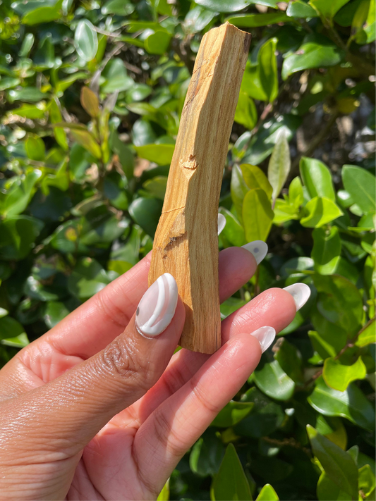 Palo Santo Sticks