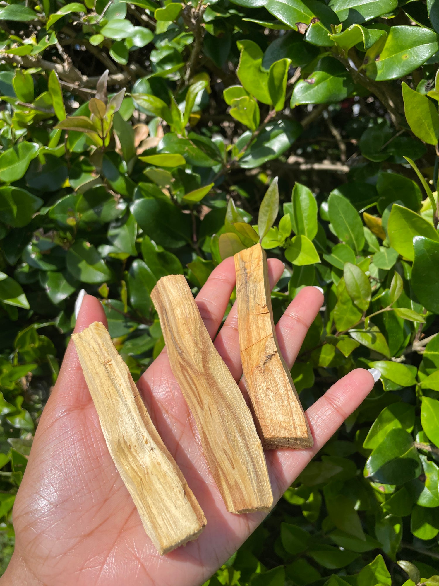 Smudging Tools & Others