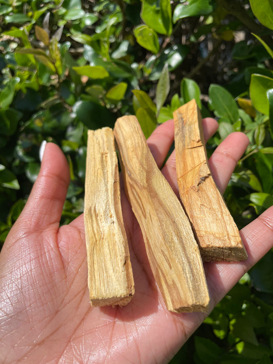 Palo Santo Sticks
