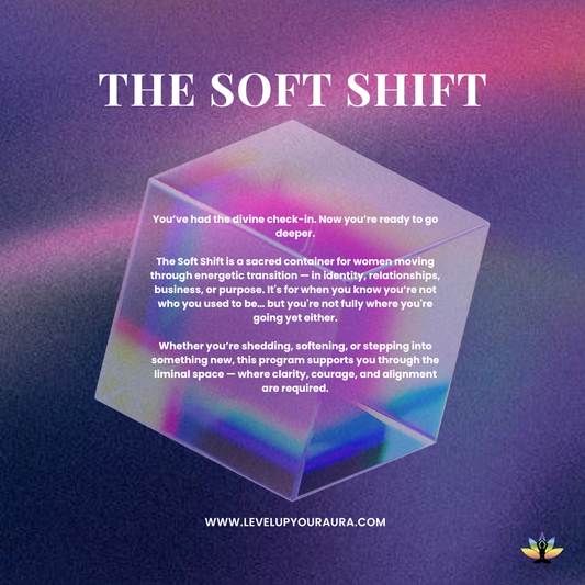 The Soft Shift (Mentorship Level)